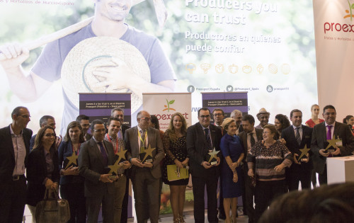 ganadores estrellas de internet